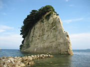 IMG_0008_thumb.png