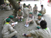 IMG_0029_thumb.png