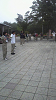 2010080105100001_thumb.png