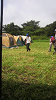 2010080110400000_thumb.png