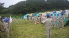 2010080208560001_thumb.png
