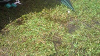 2010080309590000_thumb.png