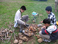 IMG_0733_thumb.png
