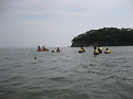 IMG_0031_thumb.png