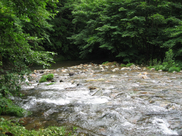 IMG_1392.JPG