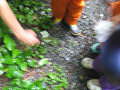 IMG_0014_thumb.png
