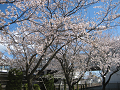 IMG_10009_thumb.png