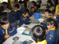 IMG_0019_thumb.png