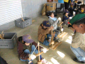 IMG_0035_thumb.png