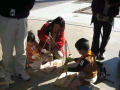 IMG_0038_thumb.png