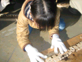 IMG_0041_thumb.png