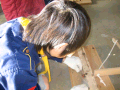 IMG_0042_thumb.png