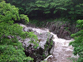 naitohaiku-b027_thumb.png