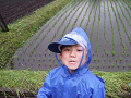 naitohaiku-b033_thumb.png