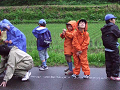 naitohaiku-b044_thumb.png