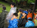 IMG_0004_thumb.png
