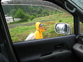 IMG_002_thumb.png