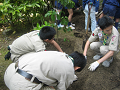 IMG_0018_thumb.png