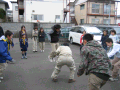 IMG_0016_thumb.png