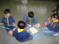 IMG_0006_thumb.png