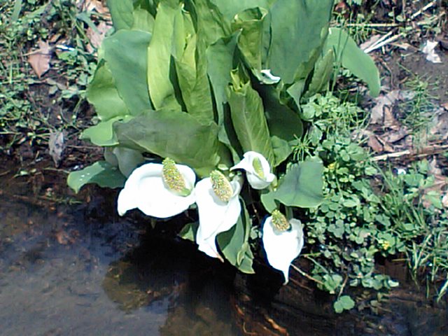 CA340112.JPG