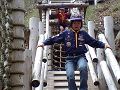 CA340113_thumb.png