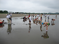 IMG_0015_thumb.png