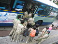 IMG_0007_thumb.png