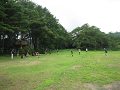 IMG_0024_thumb.png