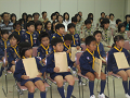 IMG_0038_thumb.png
