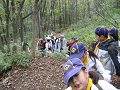 IMG_0031_thumb.png