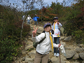 IMG_0049_thumb.png
