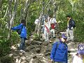 IMG_0051_thumb.png