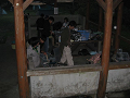 1020imoni2054_R_thumb.png