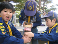 IMG_0042_thumb.png