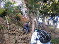 IMG_0017_thumb.png