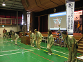 IMG_0011_thumb.png