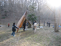 IMG_0003_thumb.png