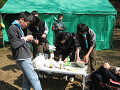 IMG_0018_thumb.png