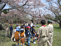 IMG_0004_thumb.png
