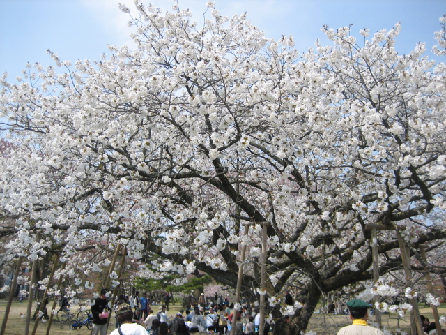 IMG_0006.jpg