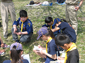 IMG_0009_thumb.png