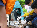 IMG_0005_thumb.png