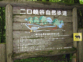 IMG_0006_R_thumb.png