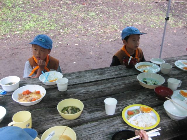 IMG_0006_y.jpg