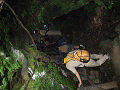 IMG_0010_R_thumb.png