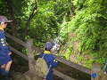 IMG_0011_y_thumb.png