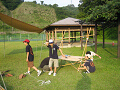 IMG_0026_thumb.png