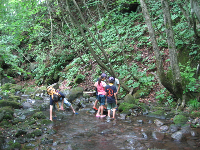 IMG_1013.JPG