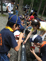 IMG_1017_thumb.png